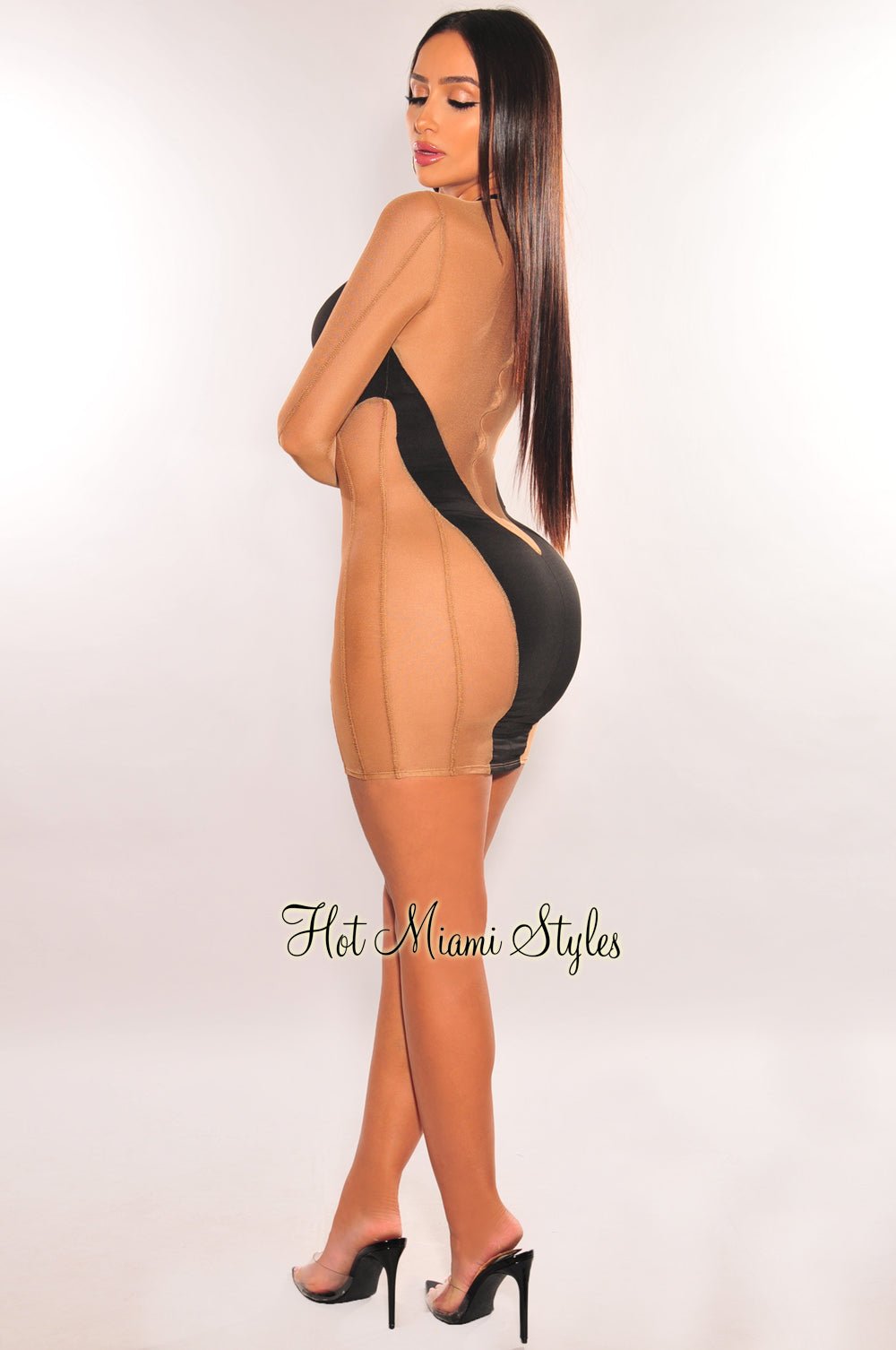 Black Nude Mesh Sheer Long Sleeve Mini Dress